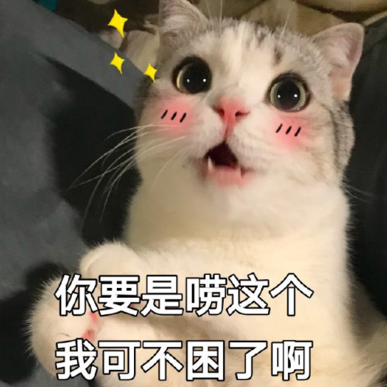 可爱萌猫表情包:难道,还要我教你怎么追我嘛?