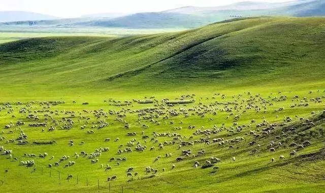 2019年内蒙古人均gdp为多少元_内蒙古鄂尔多斯与浙江杭州的2019年GDP出炉,两者成绩如何(3)