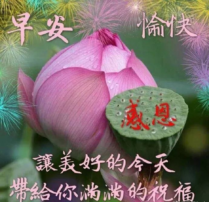 虎年祝福语最美早上好问候语温馨短句早上好祝福优美短句漂亮春天早安