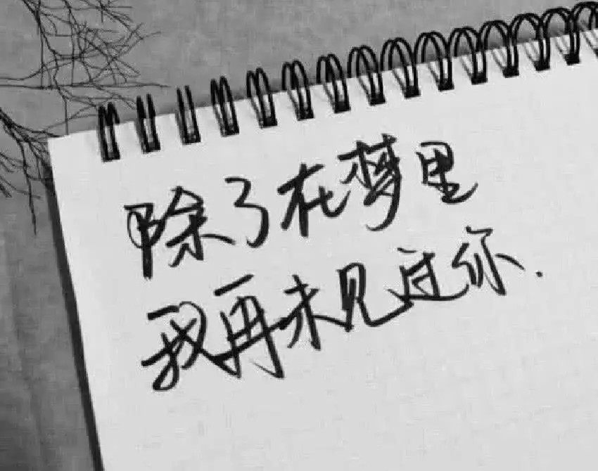 告白说 我喜欢你 落伍了 用文言文表白 简直浪漫到骨子里 看点快报