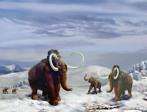 两万年前的冰河期,是什么原因导致覆盖整个地