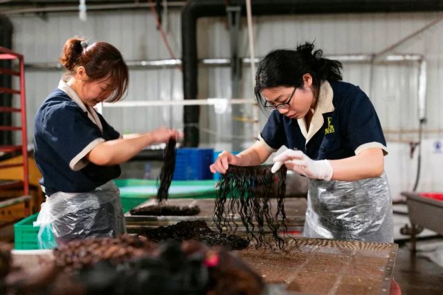 一家工厂内,工人在给发制品浸泡药水,准备接下来的烫染 靳丽恒来