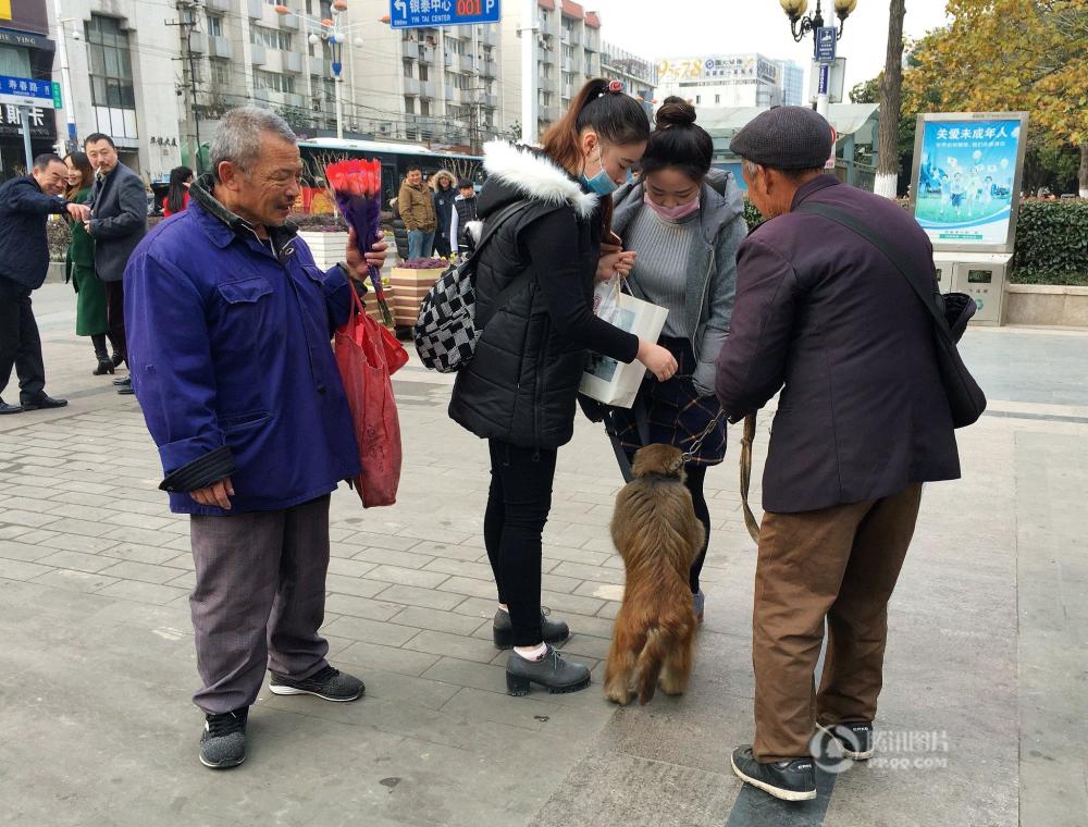 合肥公园现乞讨猴子 强抱人腿索要“拥抱费”(图)