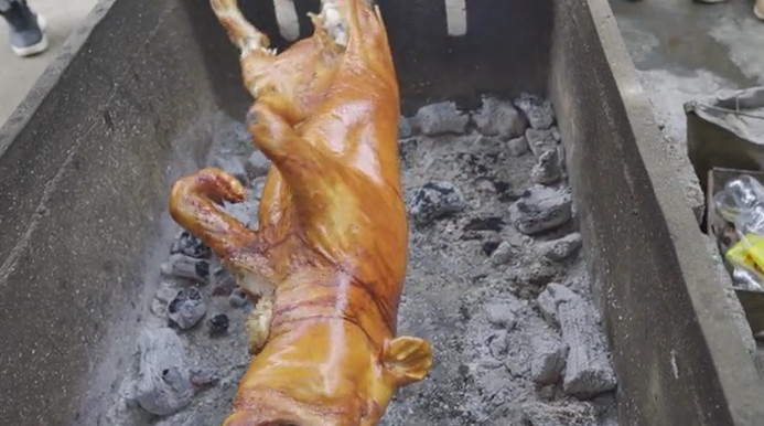 实拍农村人烤乳猪,一只50斤烤出锅仅剩30斤,刚