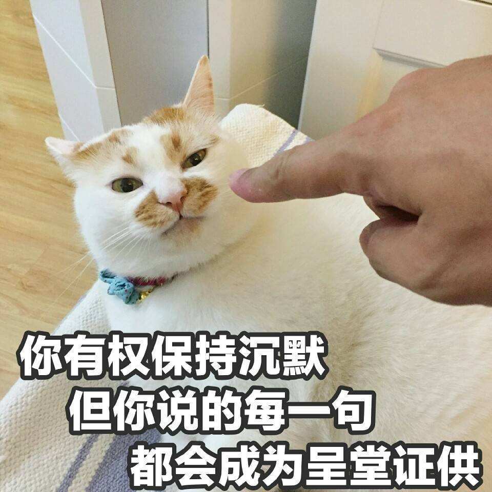 可爱猫咪暖心表情包:讨厌鬼,打死你!