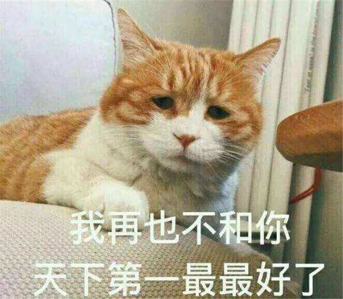 可爱萌宠猫猫搞笑表情包:我再也不和你天下第一最最好