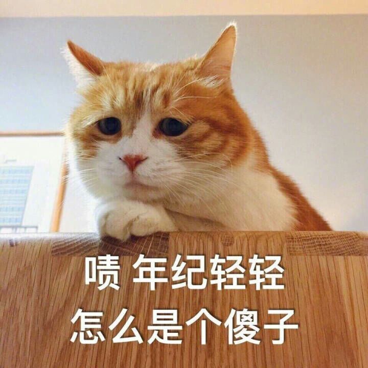可爱软萌猫咪表情包:不要愁老之至,你老了一定很可爱