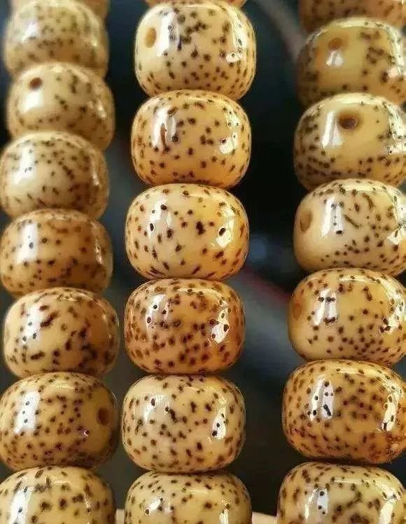 星月菩提|盘玩|阴皮