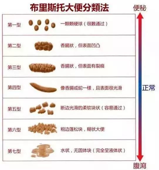 粑粑,拉肚子,痔疮,消化道出血