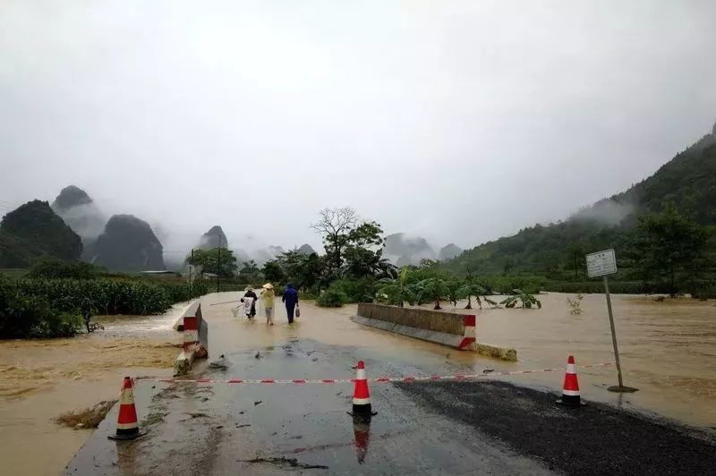 靖西市,德保县,救援,平果县,那坡县,公路管理局,暴雨,马头镇