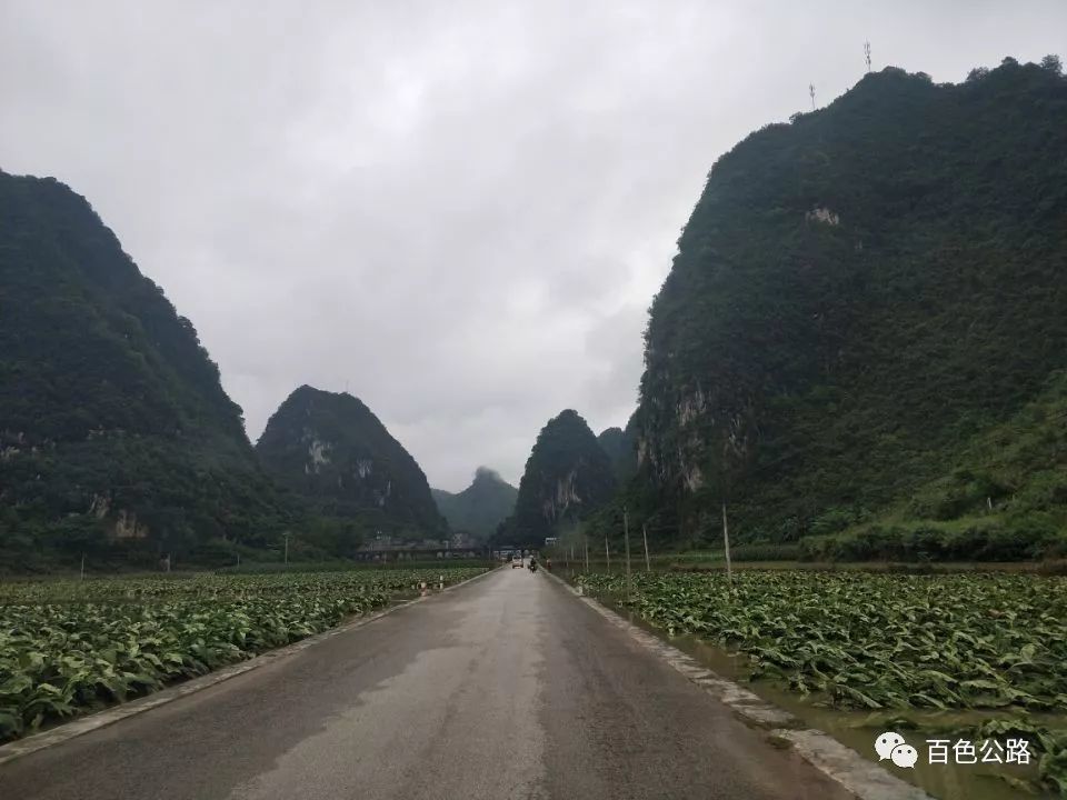 靖西市,德保县,救援,平果县,那坡县,公路管理局,暴雨,马头镇