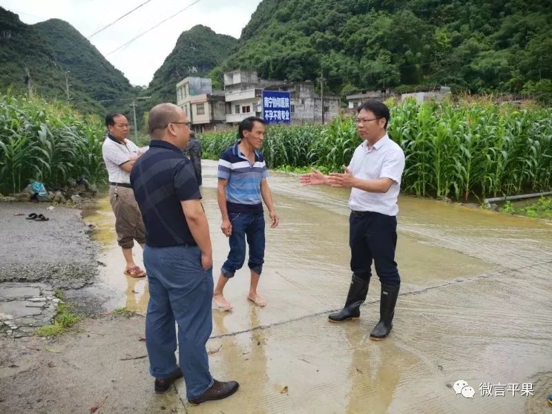 靖西市,德保县,救援,平果县,那坡县,公路管理局,暴雨,马头镇