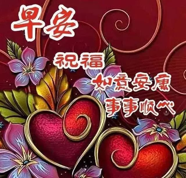 星期六朋友圈最新正能量问候语录 早上好鲜花祝福带字