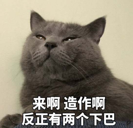 可爱萌猫表情包:回忆总想哭,一个人太孤独!