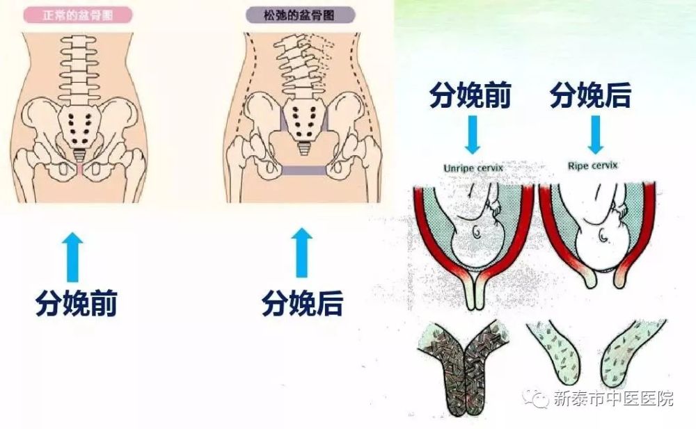 3 性:维持性快感和性健康.