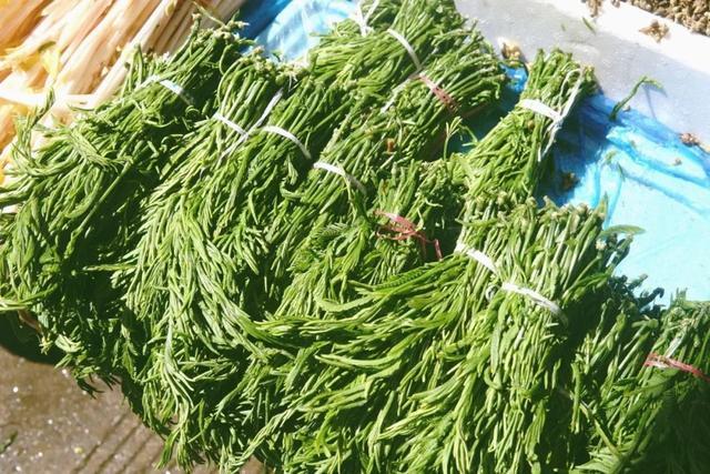 这种野菜名字很"奇葩",闻着臭吃着香,城里70一斤还要抢着吃