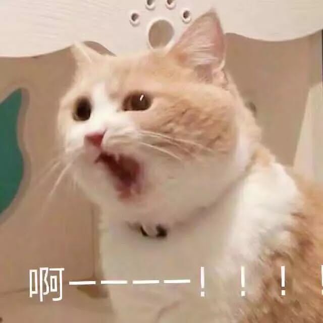 沙雕表情包l你欠骂吗