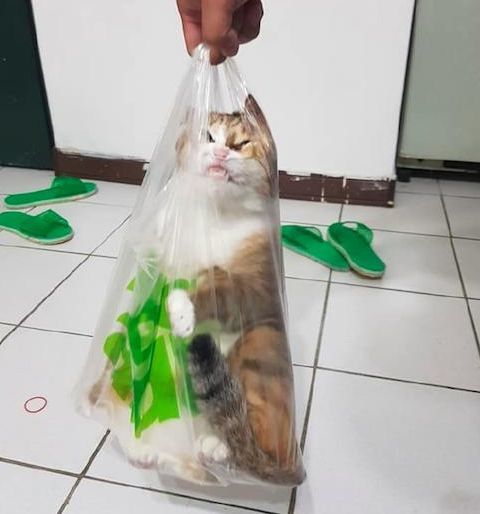 成语什么情仇_爱恨情仇图片