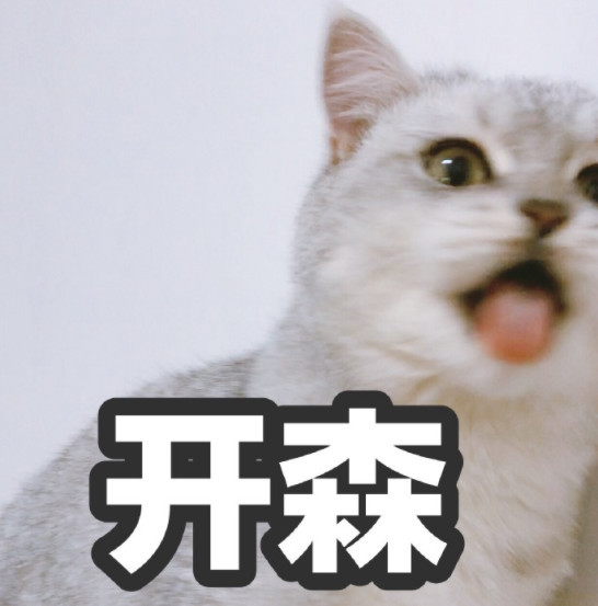 搞笑萌猫表情包:求求你嘛,要抱抱!