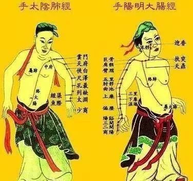 老中医5分钟教你看懂12经络最简单的十二经络讲解收藏了吧