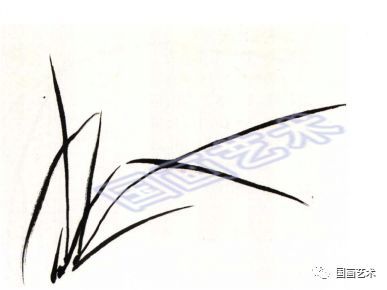 图文 教程:学画兰草