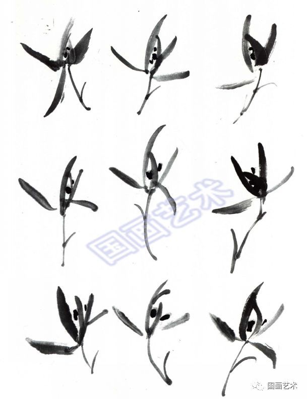 图文 教程:学画兰草