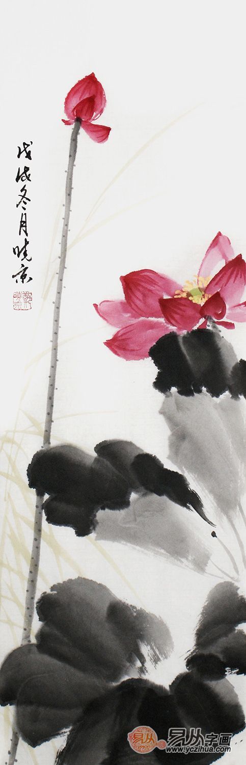 国画荷花 画家郑晓京精品写意《三色荷-红荷》