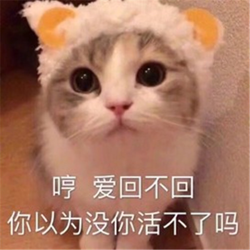 小奶猫:哼,爱回不回,你以为没你活不了吗?表情包:雨女