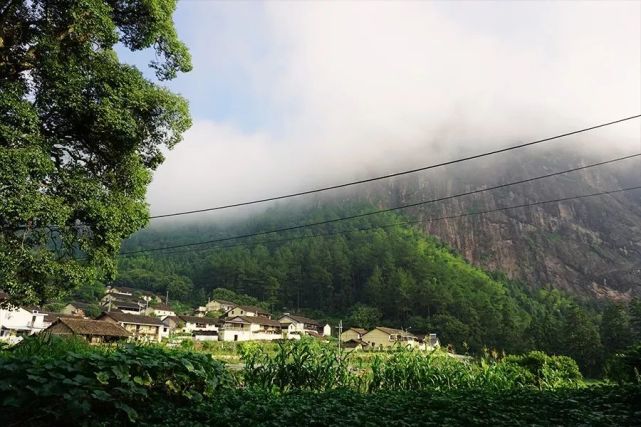 两年,遂昌一偏远小山村竟成了人人追捧的"桃花源"