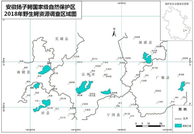 最新调查数据显示:安徽扬子鳄国家级自然保护区实见野生扬子鳄数量较