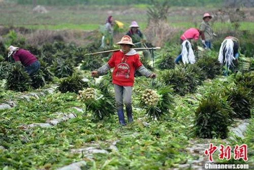 中央定调2017年中国经济 这八大政策红包惠及你我