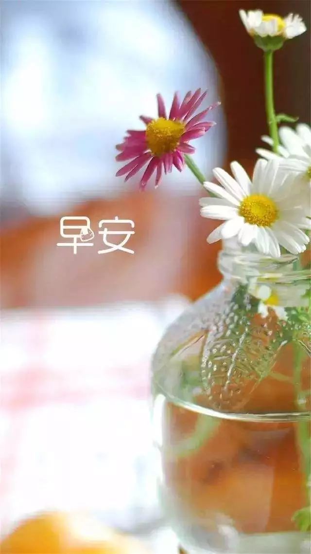 朋友圈早安心语优美的美图句子