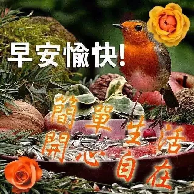 11月16日清晨阳光暖心的早安问候祝福语,最美清晨早上