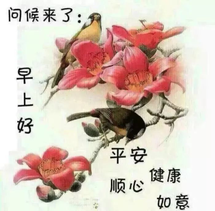 11月16日清晨阳光暖心的早安问候祝福语,最美清晨早上好表情动态美图