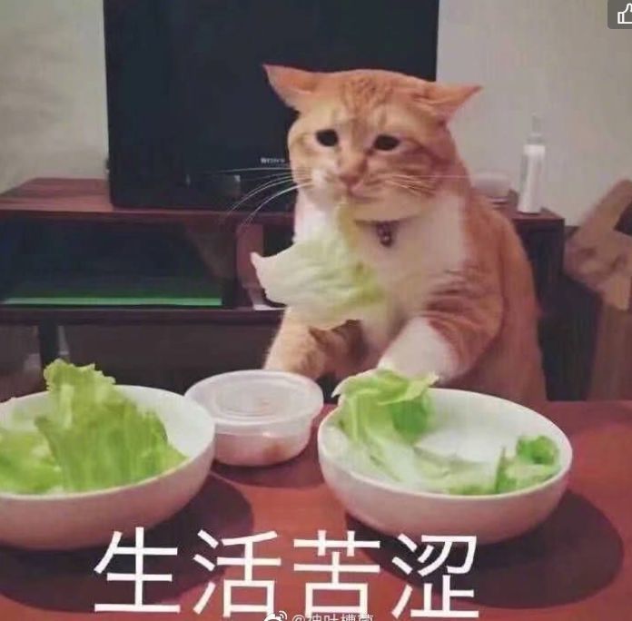 幽默图片搞笑段子:大家是怎么问父母要生活费的?有啥