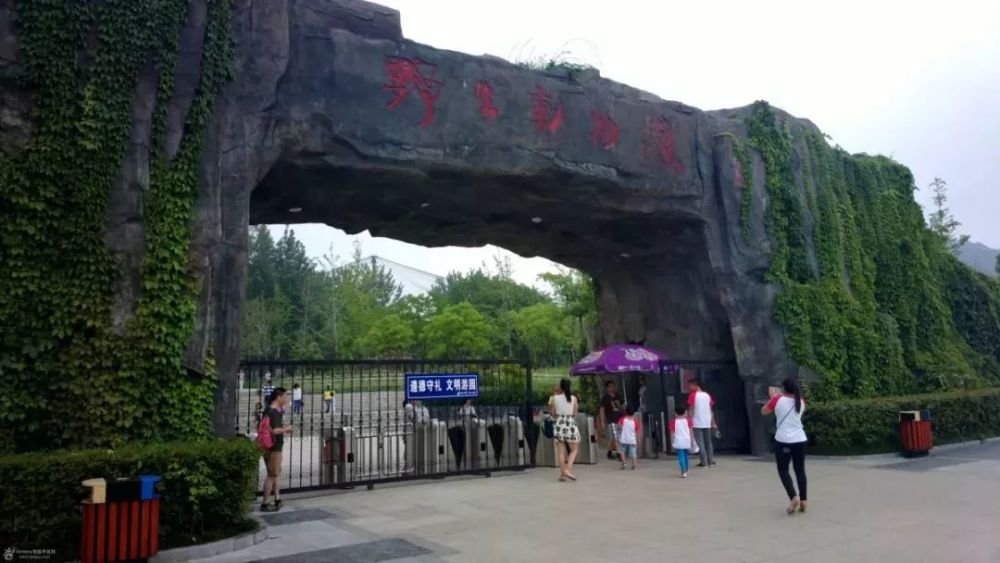 论证,调研阶段,参与选址地点为肥东泉山,肥西紫蓬山两处