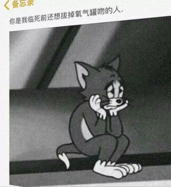 汤姆猫