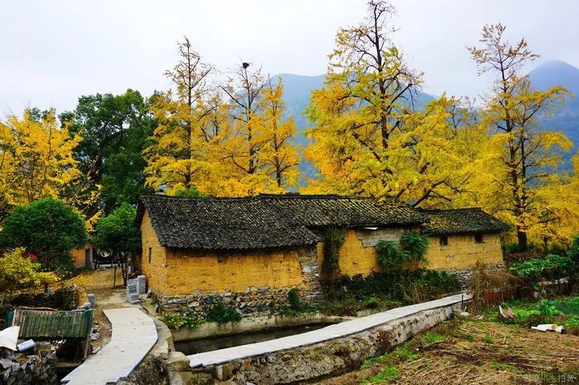 灵川县海洋乡大塘边村(网络配图)