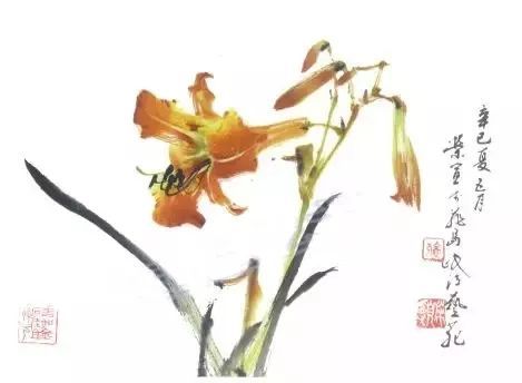 用朱黄蘸洋红写花瓣,近瓣色浓,远瓣淡,草绿染花心,墨红写花须,浓墨写