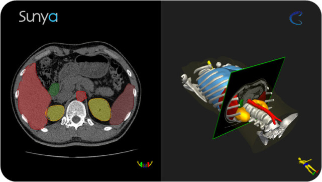 ���������ѧģʽ