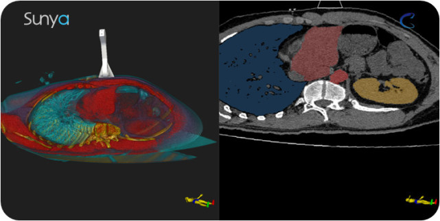 ���������ѧģʽ