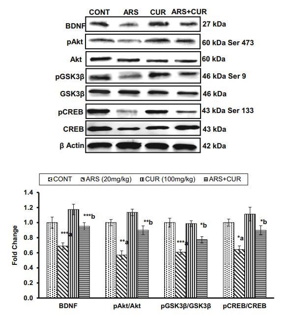 alterations in dopaminergic signaling in rat corpus striatum