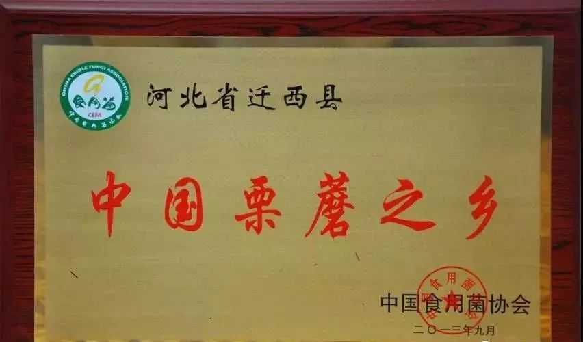 小栗蘑 大产业—迁西县大力发展栗蘑产业助农增收