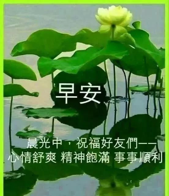 11月早上好最新版祝福漂亮图片带字 清晨早上好问候动