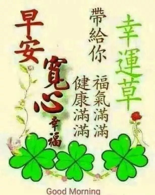 6月7日暖心的早上好漂亮图片祝福语温馨带字,清晨早安