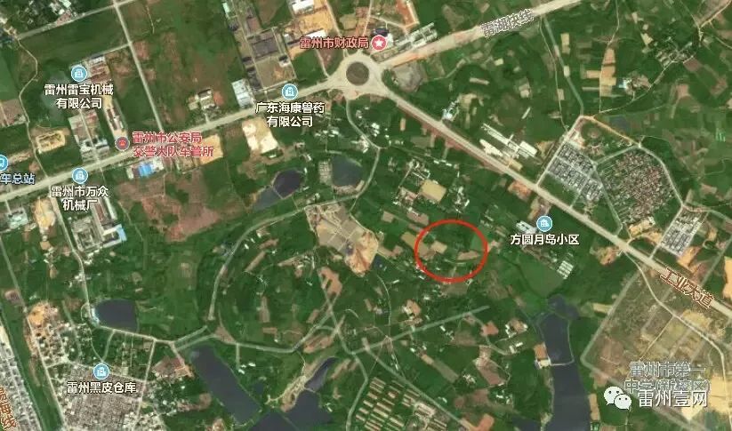 喜讯:湛江雷州市第九中学即将横空出世?祝贺!