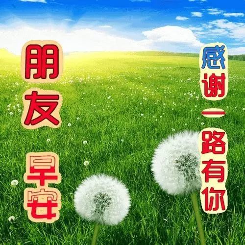 冬天天冷的温馨祝福问候语朋友圈早安祝福语图片带字
