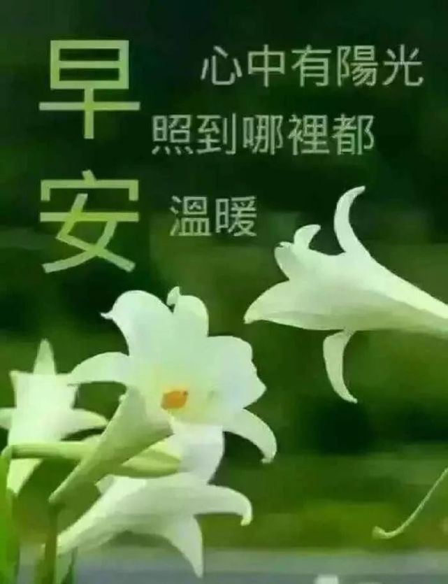 最新治愈系清早问候早上好的漂亮图片,温馨早安问候
