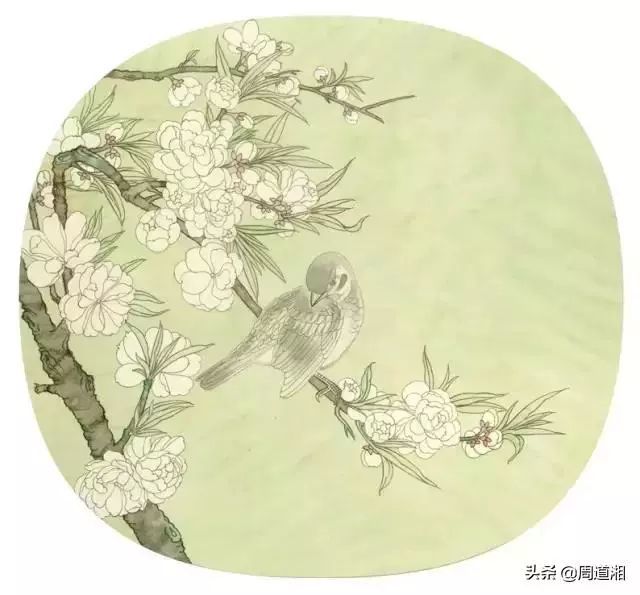 工笔花鸟的步骤画法~(太全了)