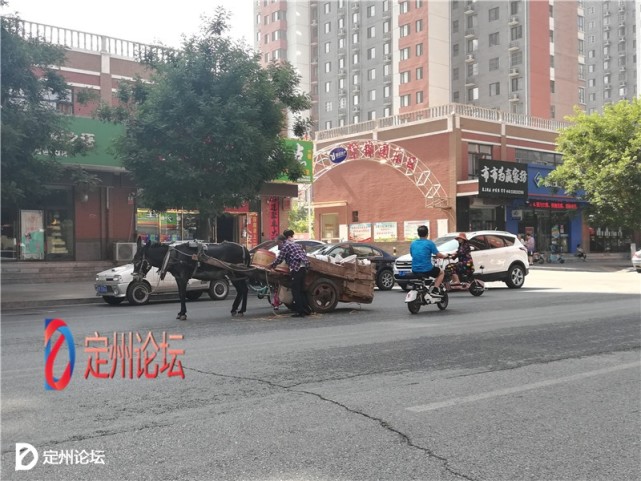 河北定州街头一老者赶驴车卖东西,随后发生的一幕让人意想不到